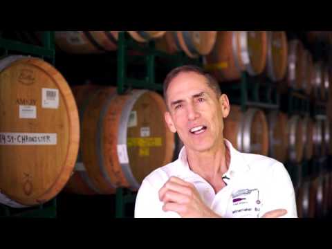 Crowdfunded Wine-Making Supports Prostate Cancer Research - Drinking Charitably
