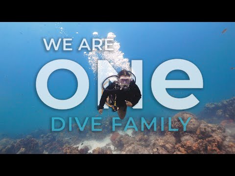 International Training Unifies Diving Activities Under Scuba Diving International (SDI), Introducing the "One Dive Family" Campaign