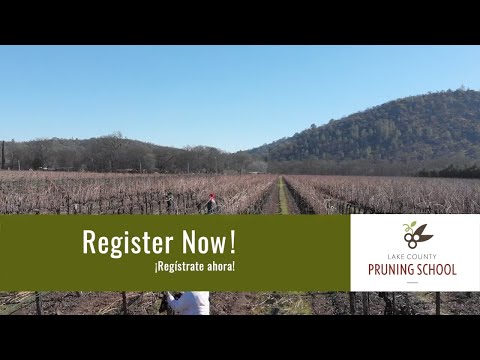 Lake County Winegrape Commission Announces Third Year of Lake County Pruning School - Registration Now Open