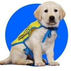 Jack London Square to Host Fun-Filled 'Dogfest' Event in October