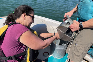 New Microplastics Research Hub Launched to Investigate Health Impacts in a Changing Climate